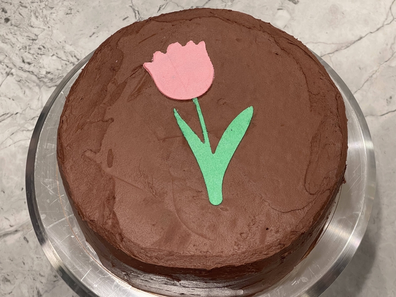 Figure 4: A cake made with a multi-layer stencil technique Bat Cake